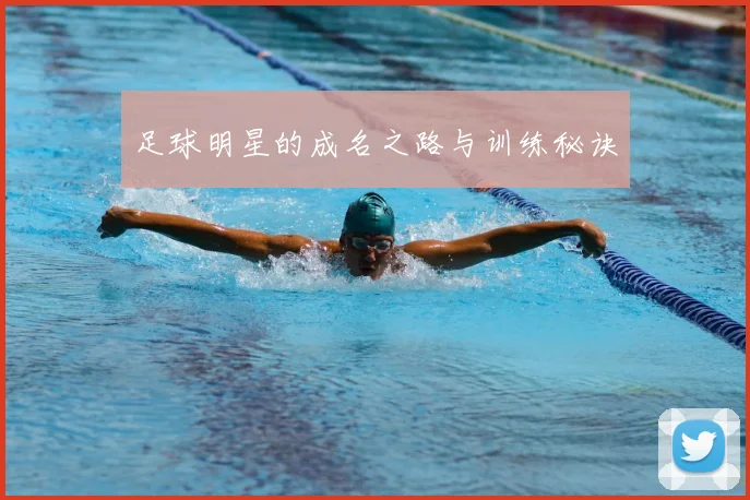 足球明星的成名之路与训练秘诀