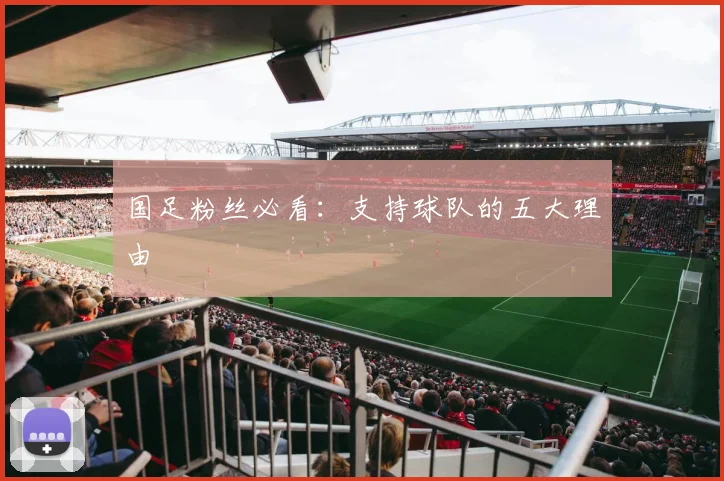 国足粉丝必看：支持球队的五大理由